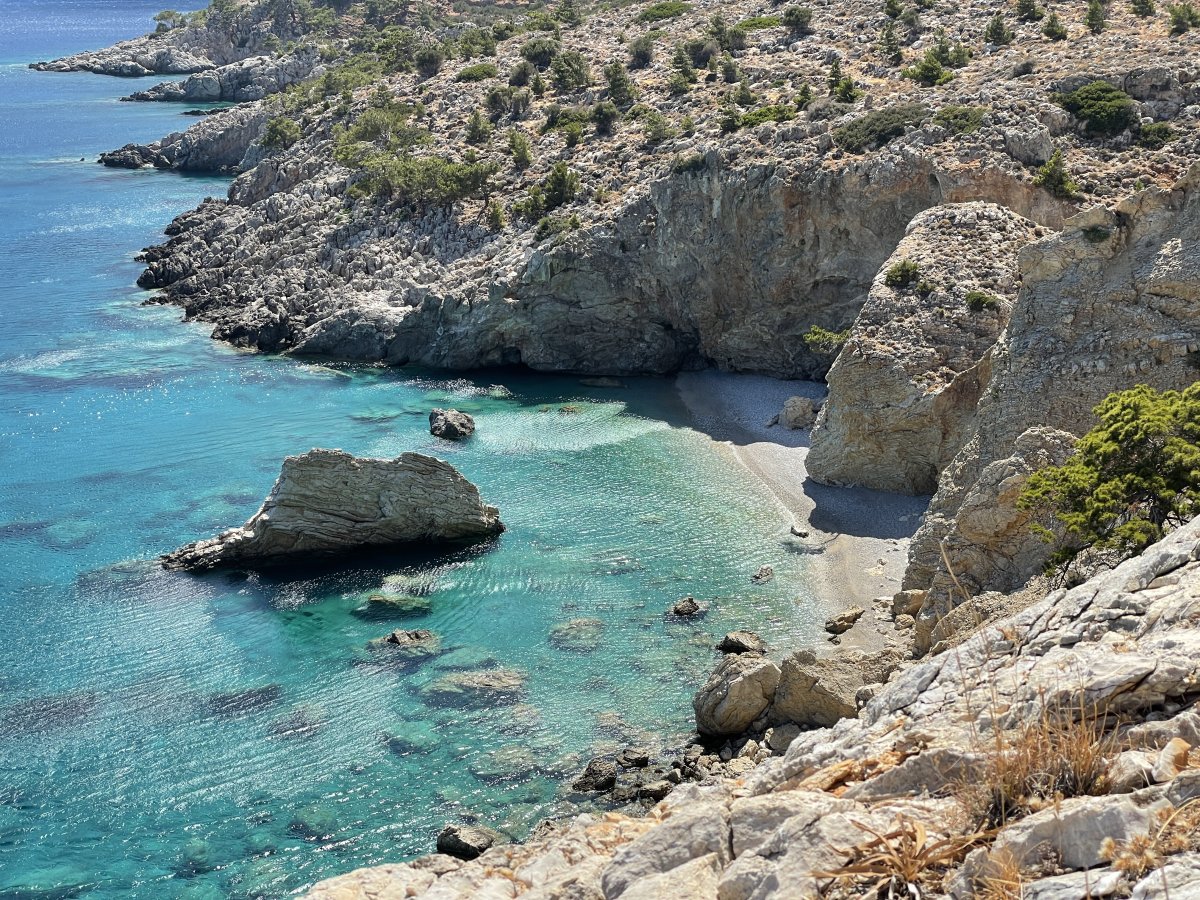 IMG_7339.JPG IMG_7339.JPG