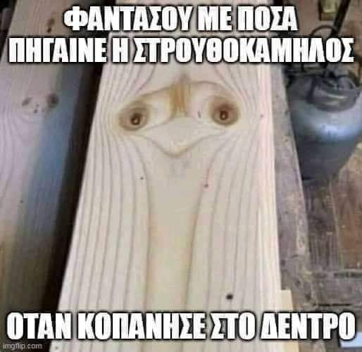 FB_IMG_1634752386154.jpg