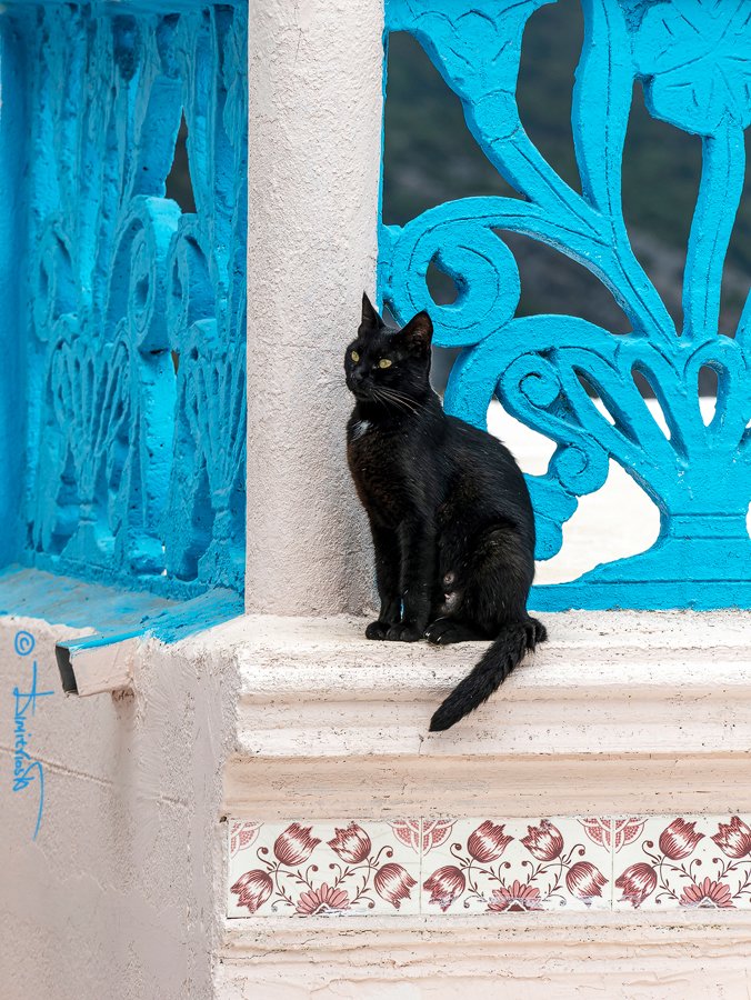 _1260886_DxO_G131AF - Copy_WM.jpg