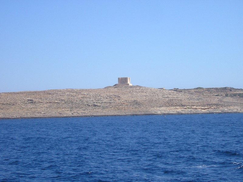P8031932.JPG