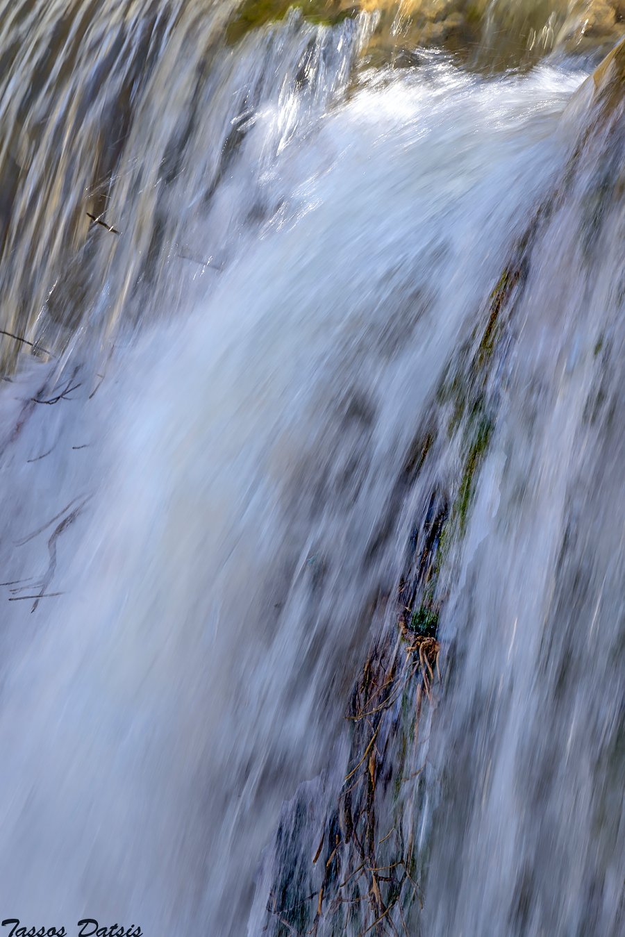 _DSC1467a.jpg