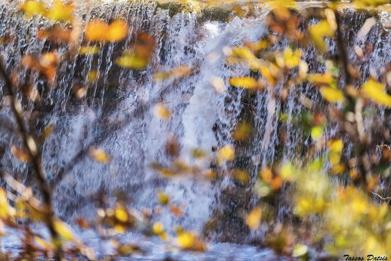 _DSC1486a.jpg