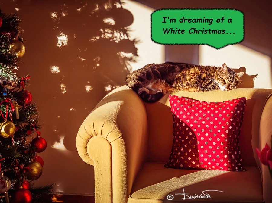 _1050878_DxO-G120AF - Copy_WM_Christmas.jpg