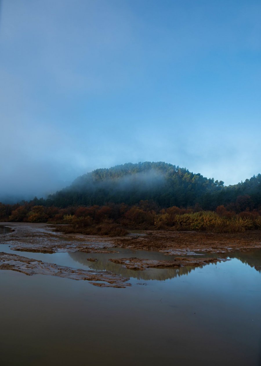 DSC_0053 (1).jpg