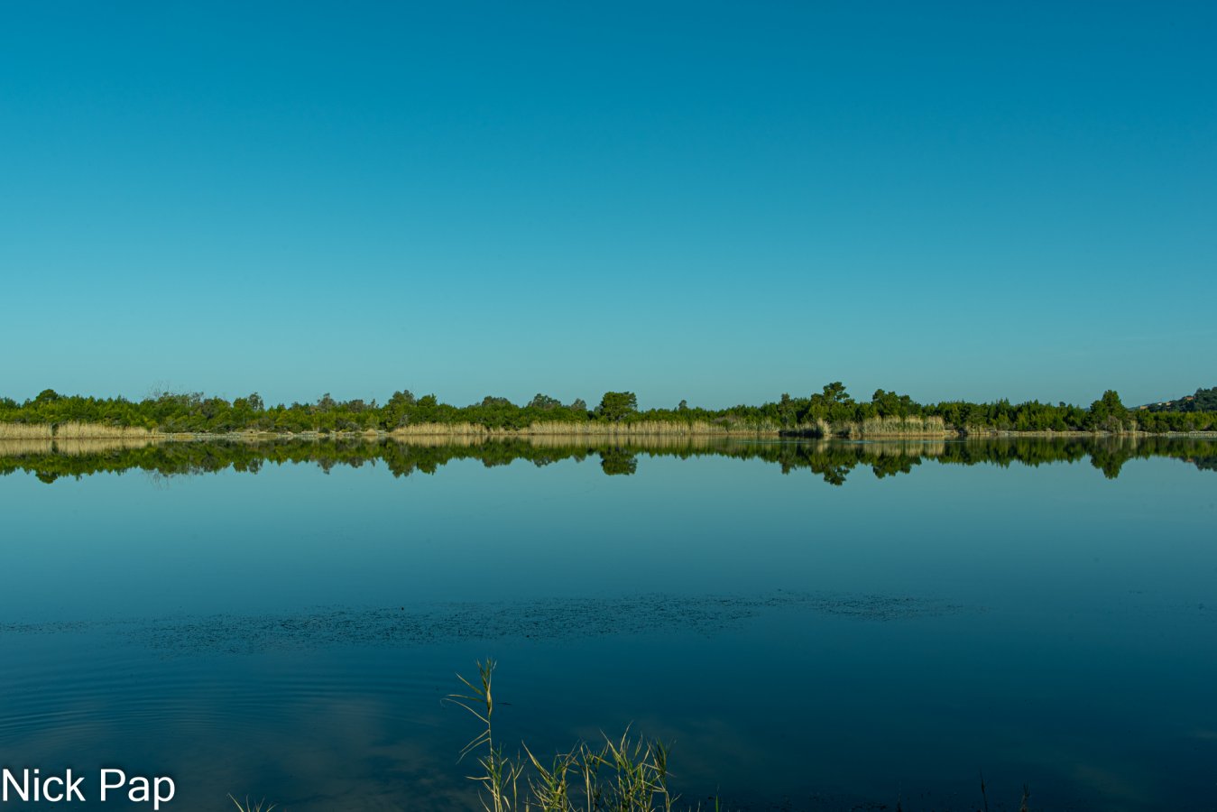 DSC_6801.jpg