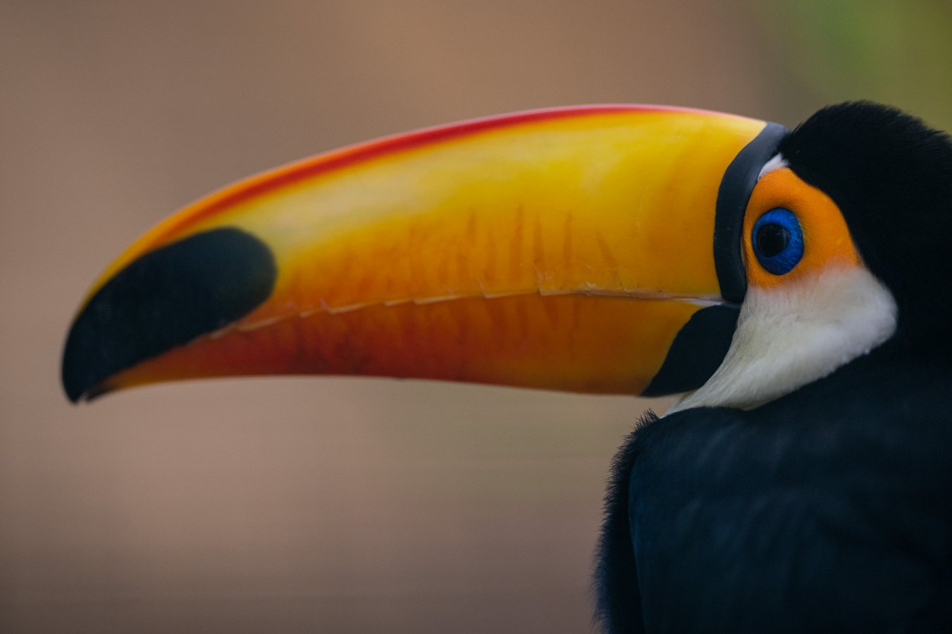 20220114_Attiko Parko_142004_Z9A4154.jpg