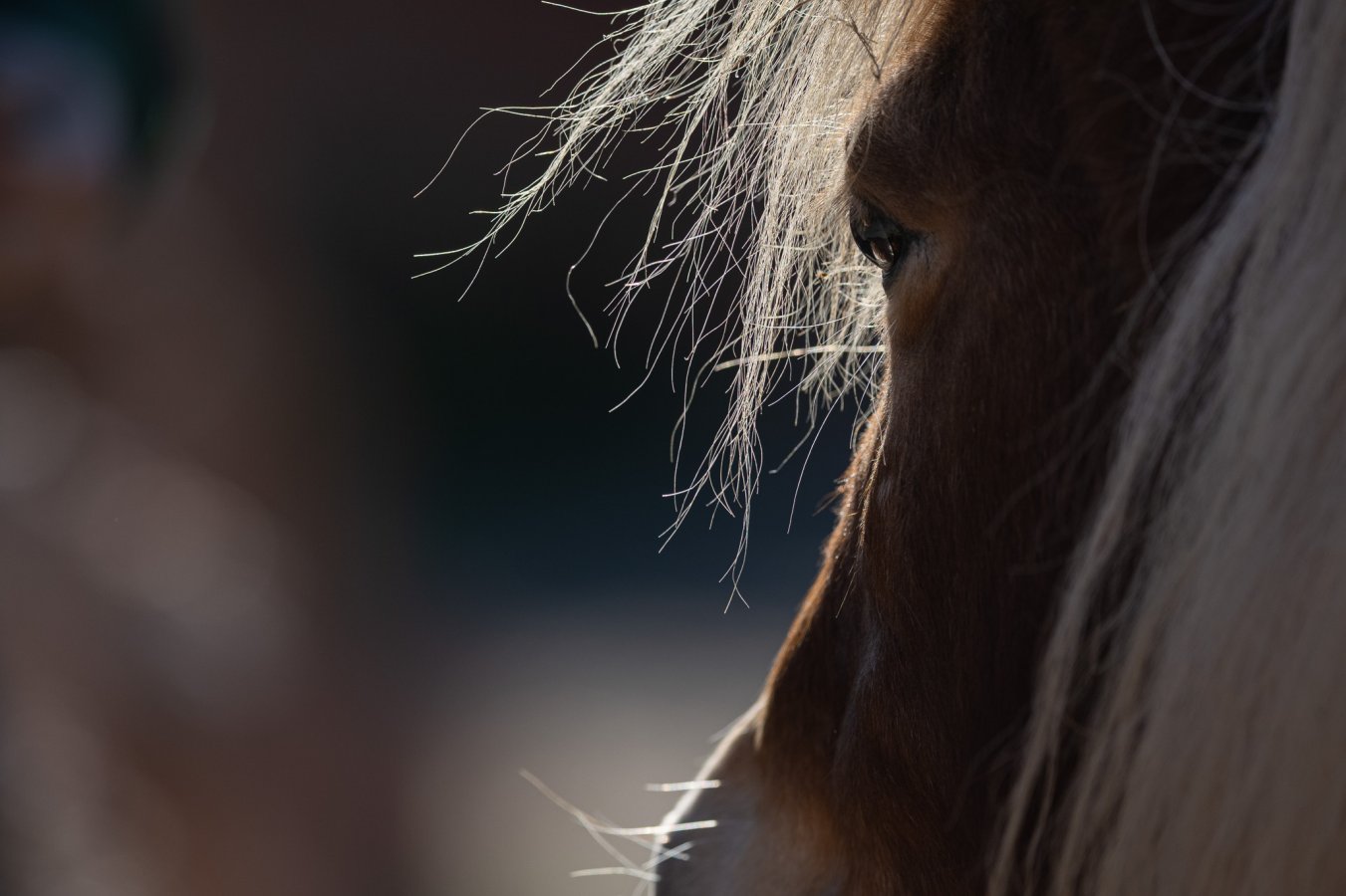 20220114_Attiko Parko_142334_Z9A4162.jpg