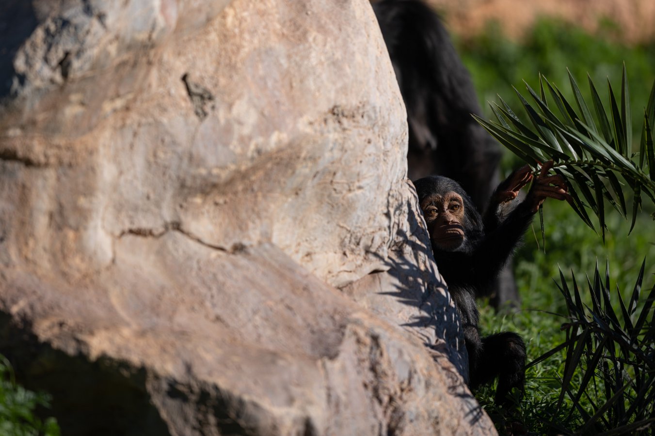 20220114_Attiko Parko_143631_Z9A4275.jpg