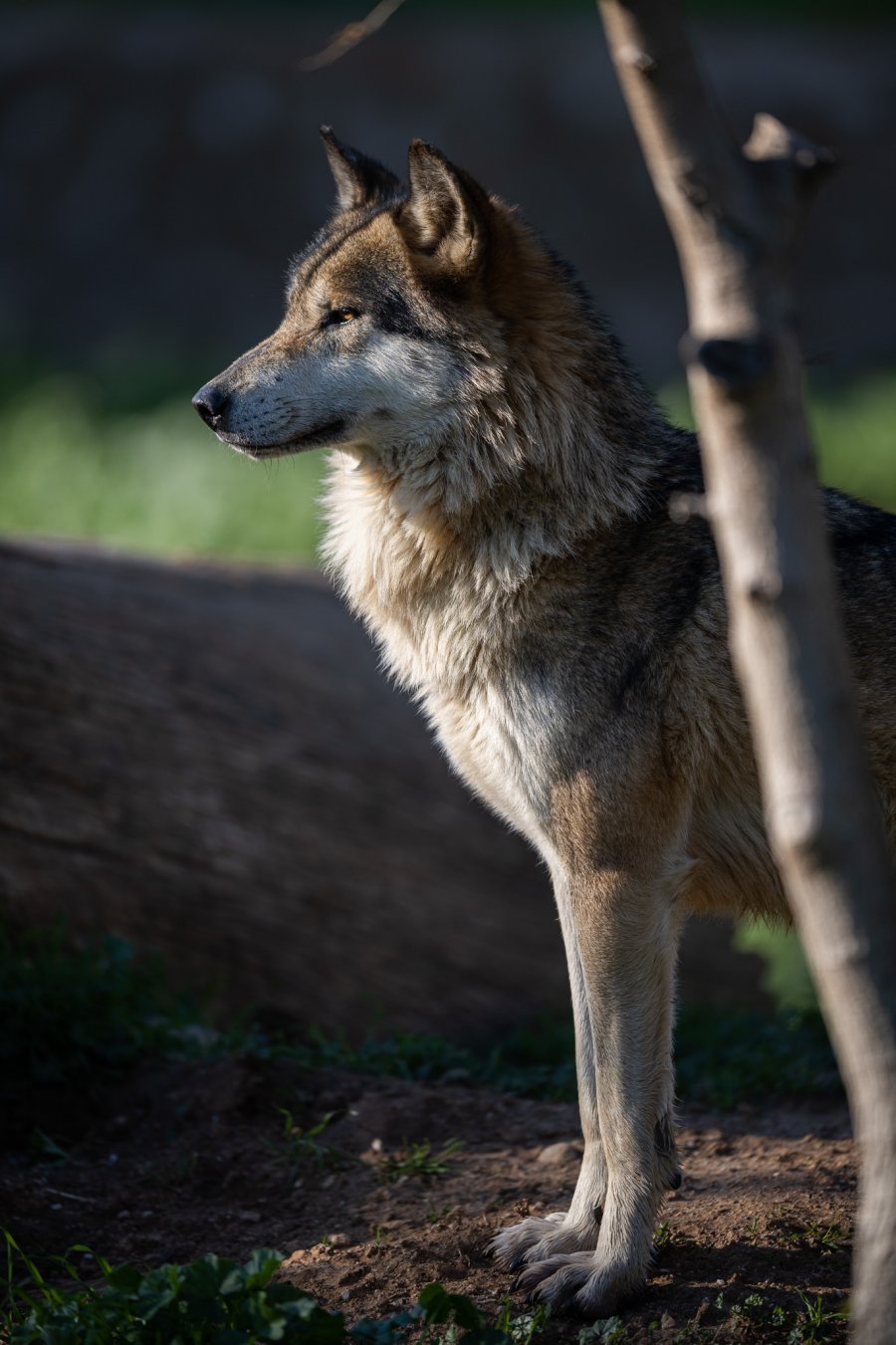 20220114_Attiko Parko_150217_Z9A4431.jpg