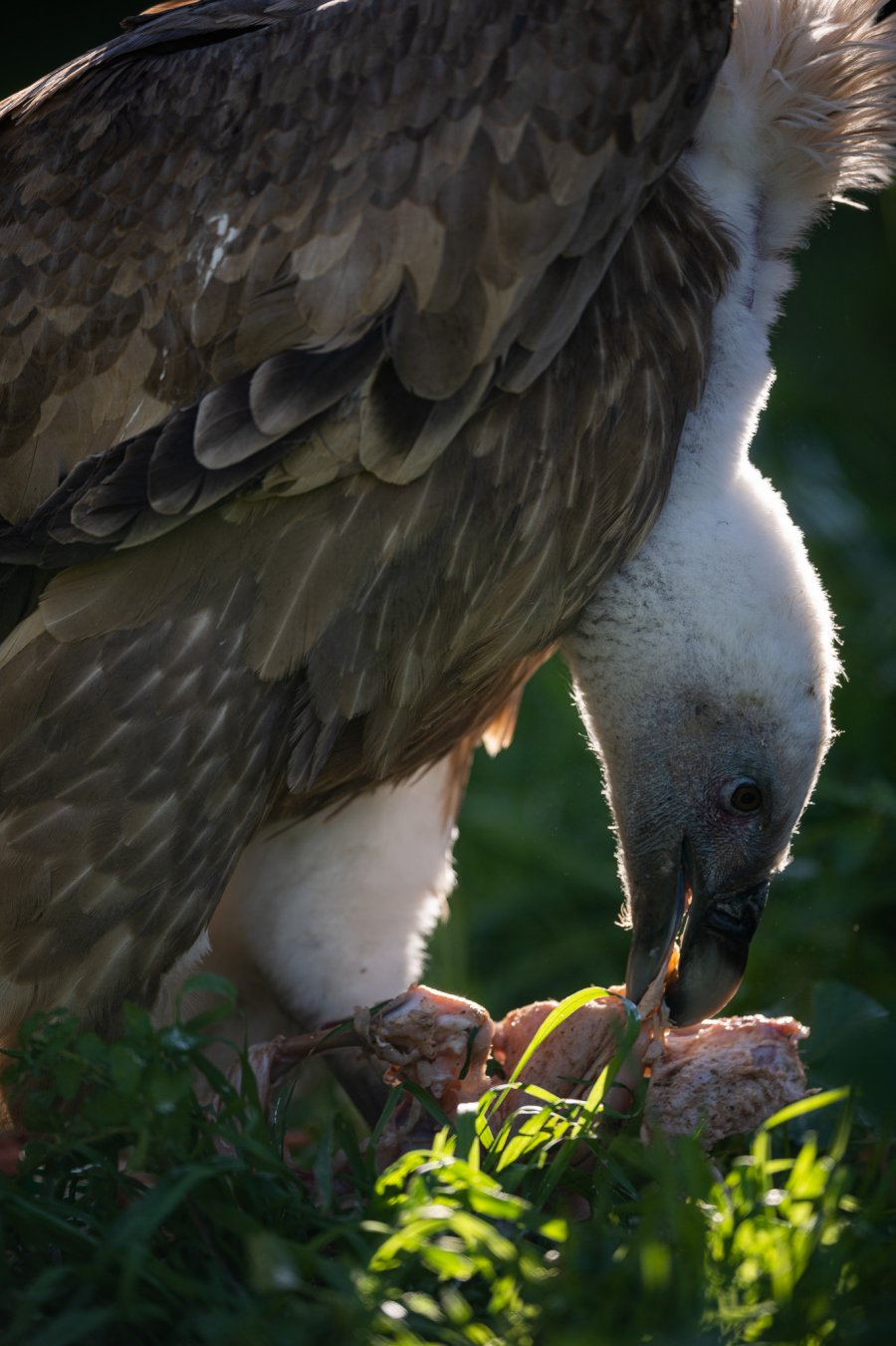 20220114_Attiko Parko_150546_Z9A4504.jpg