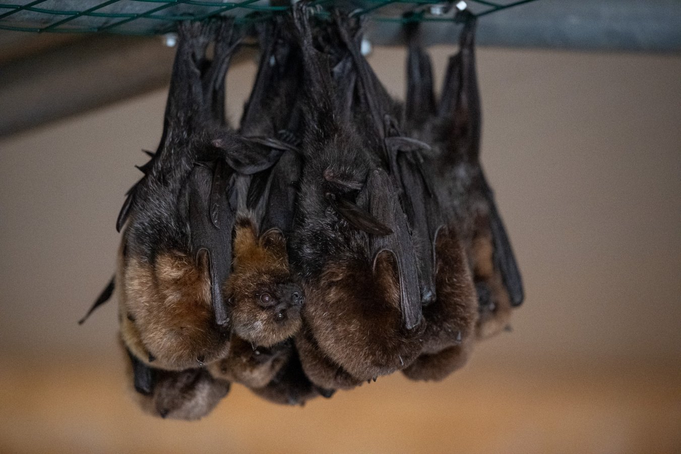 20220114_Attiko Parko_151450_Z9A4679.jpg