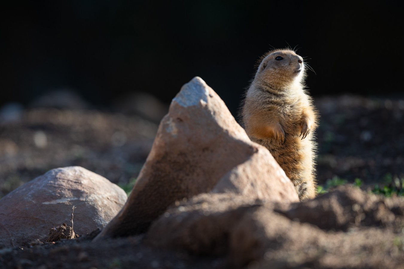 20220114_Attiko Parko_152703_Z9A4764.jpg