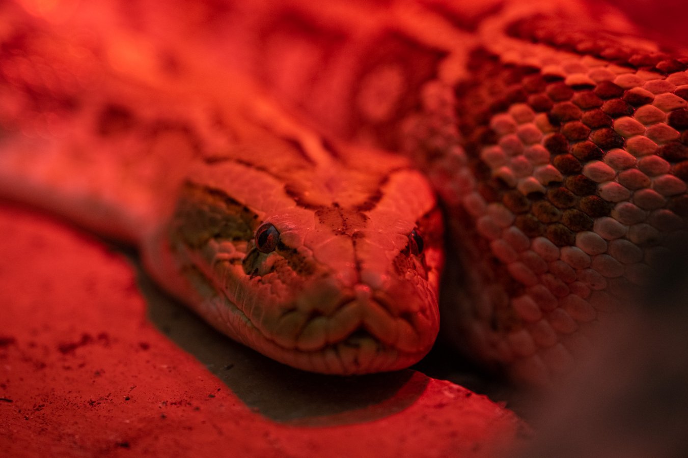 20220114_Attiko Parko_153936_Z9A4827.jpg