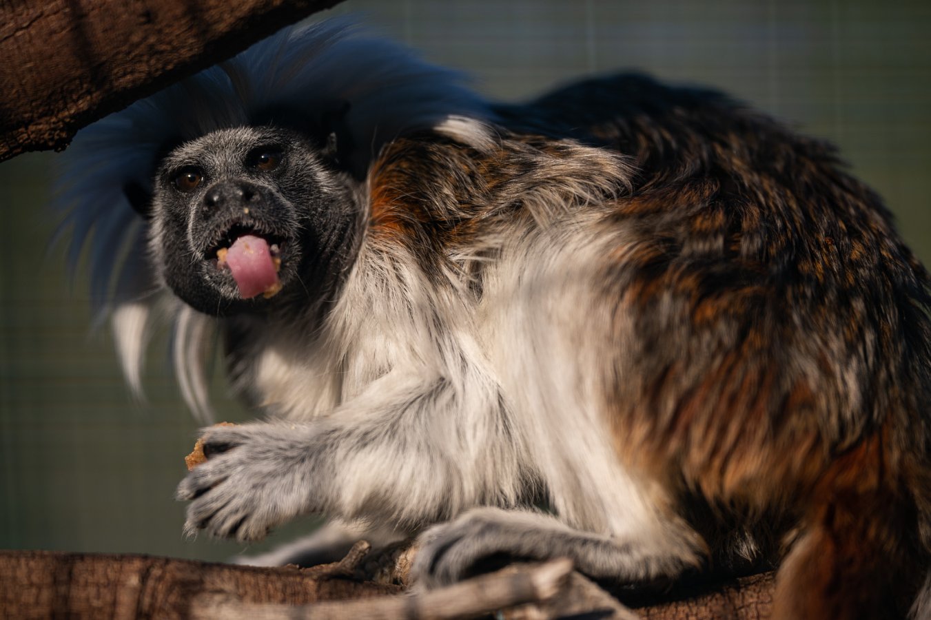 20220114_Attiko Parko_163059_Z9A5286.jpg