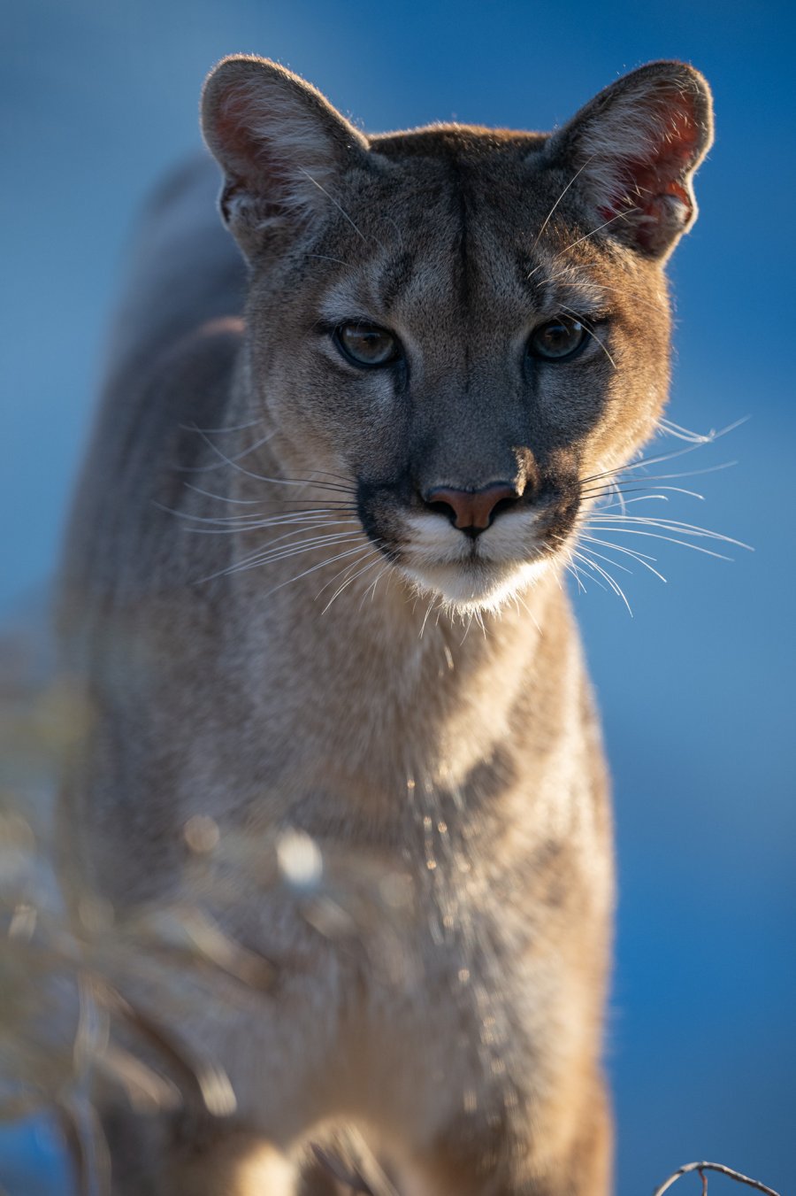 20220114_Attiko Parko_164041_Z9A5457.jpg