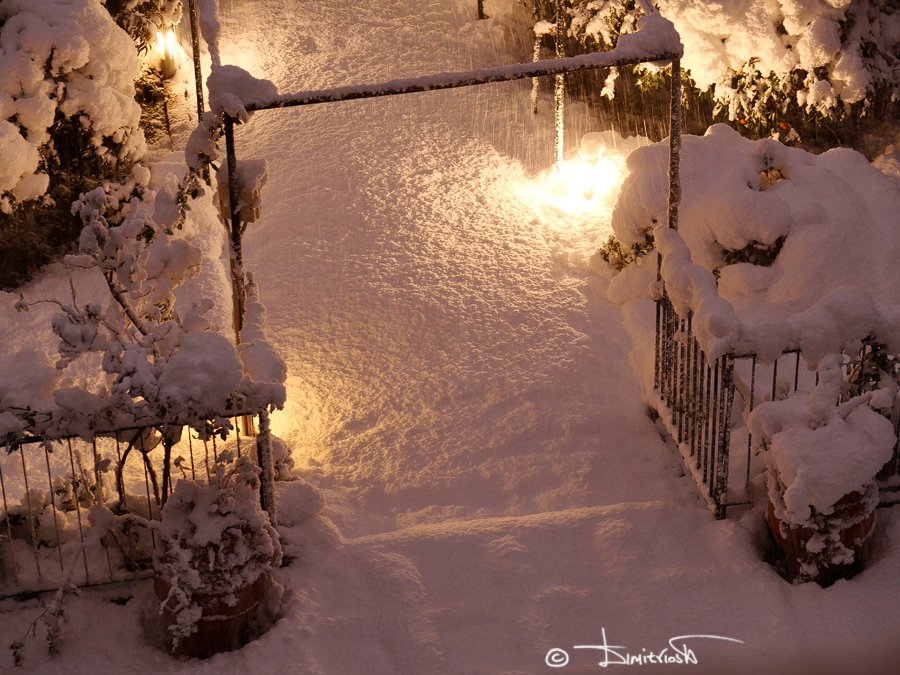 _1051511_AF copy_WM.jpg