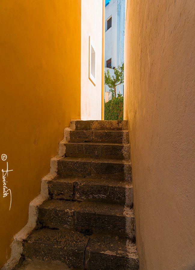 _1270843_DxO_AF135 copy_WM.jpg