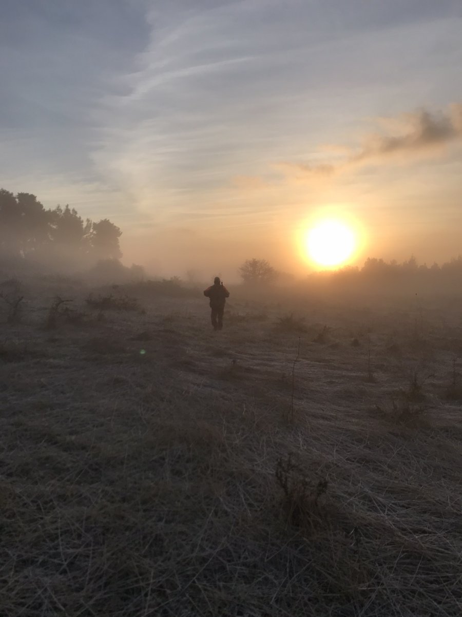 IMG-cfad2fe3469466ca8389050c4a681e31-V.jpg IMG-cfad2fe3469466ca8389050c4a681e31-V.jpg