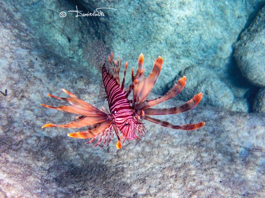 _9140479_DxO-G150AF copy_WM.jpg