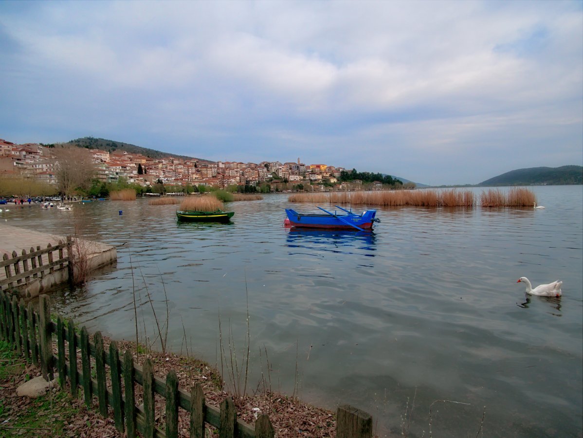 P1000792.jpg