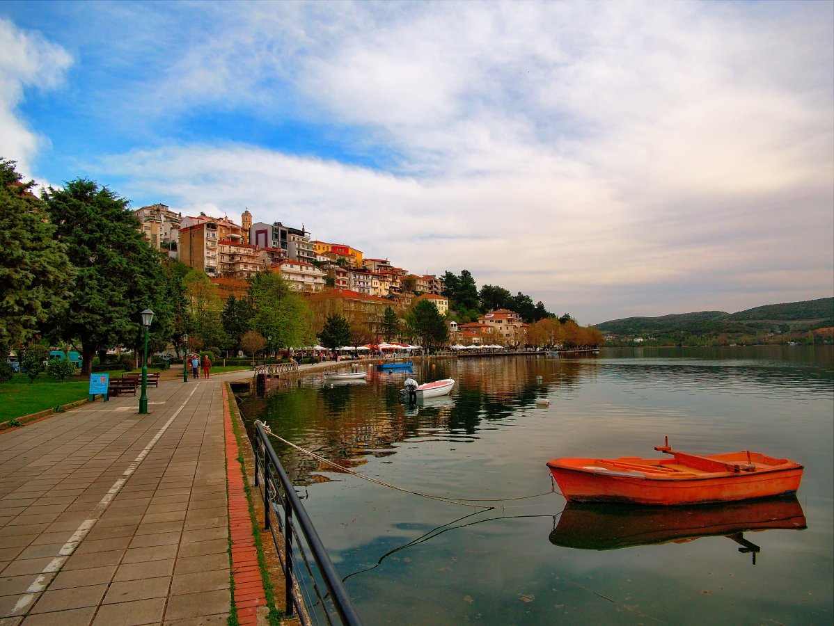 P1000762.jpg