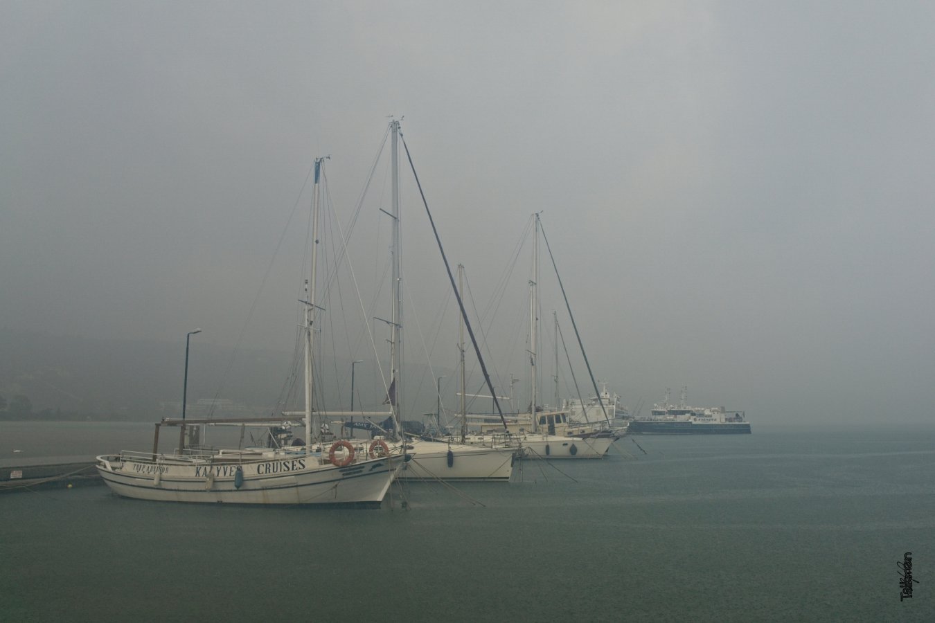 DSC09876.jpg