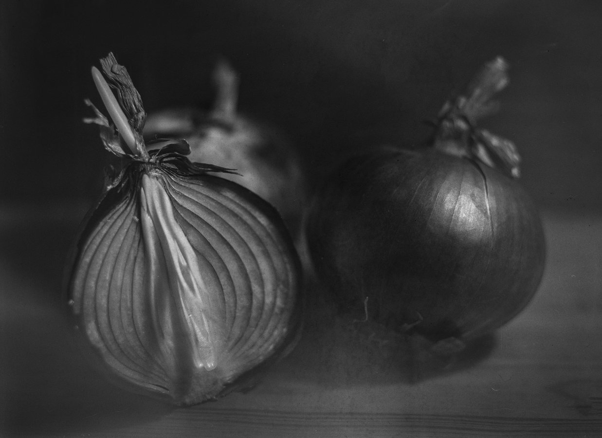 P3830024cs.jpg P3830024cs.jpg