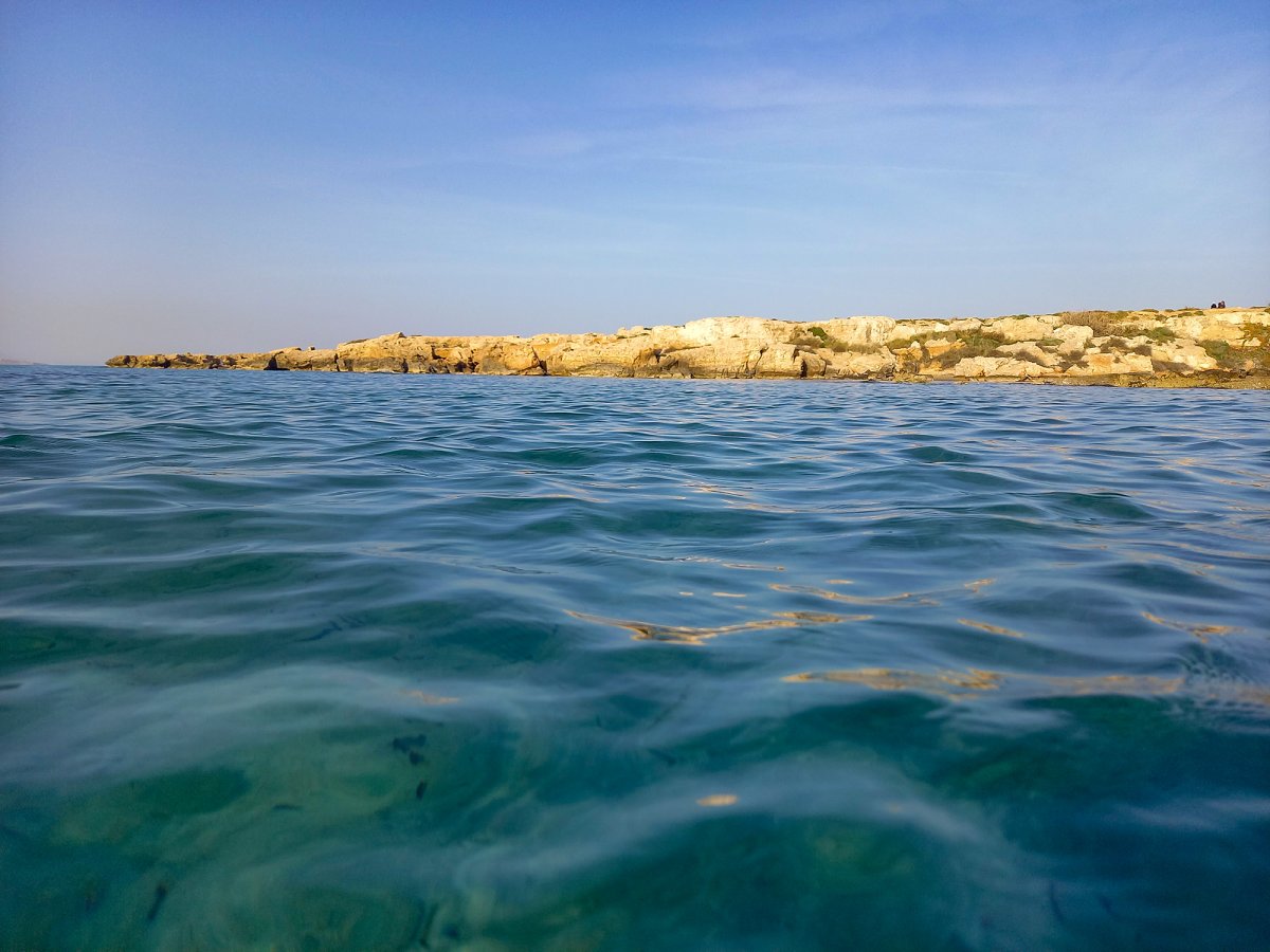 20220423_183438 (1).jpg