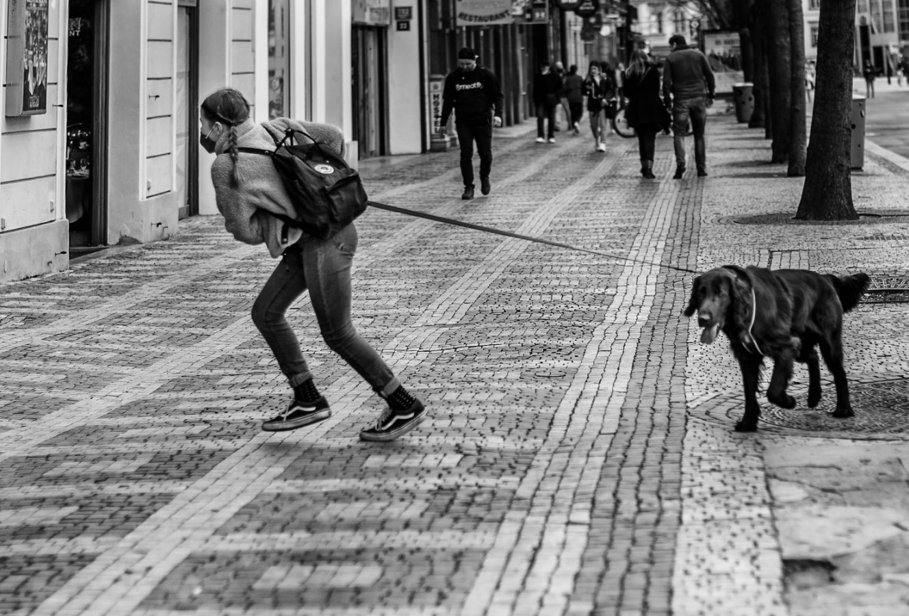 PŮJDEŠ TAM, KAM CHCI JÁ.jpg