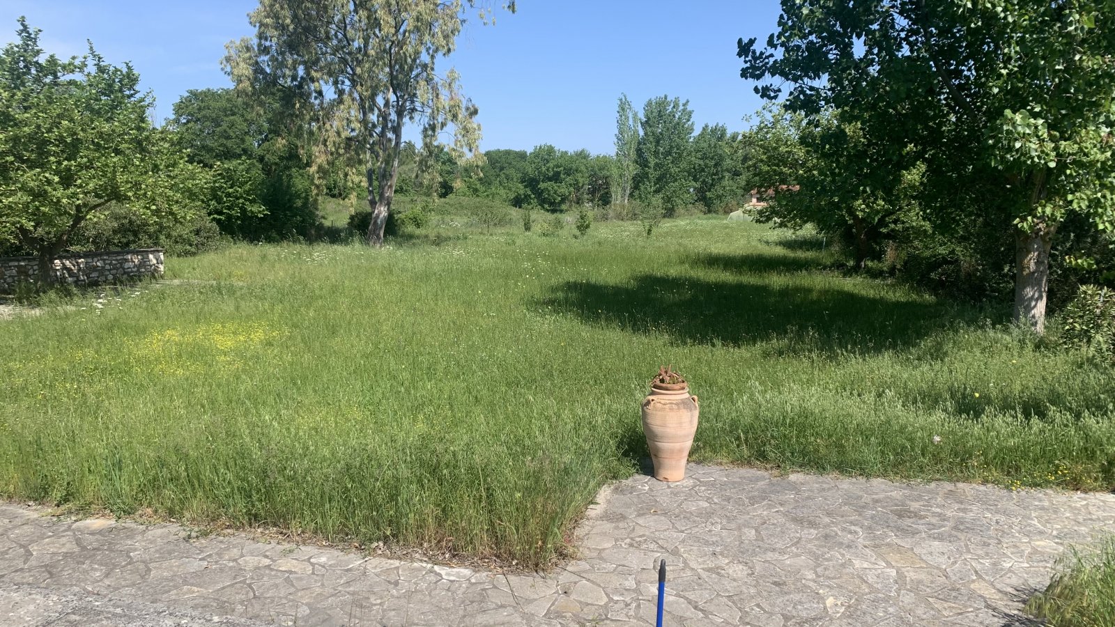 80525D16-BBF0-4F0D-928F-4608A288AF3A.jpeg