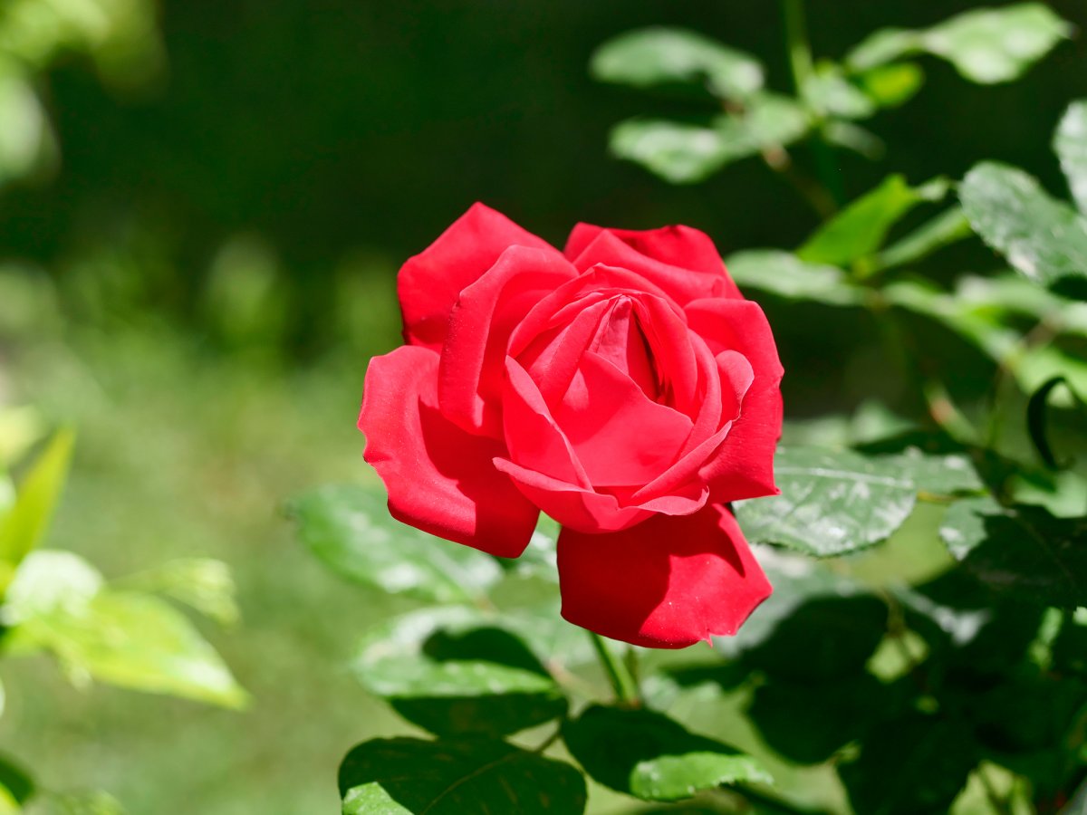 _1053888_DxO copy.jpg