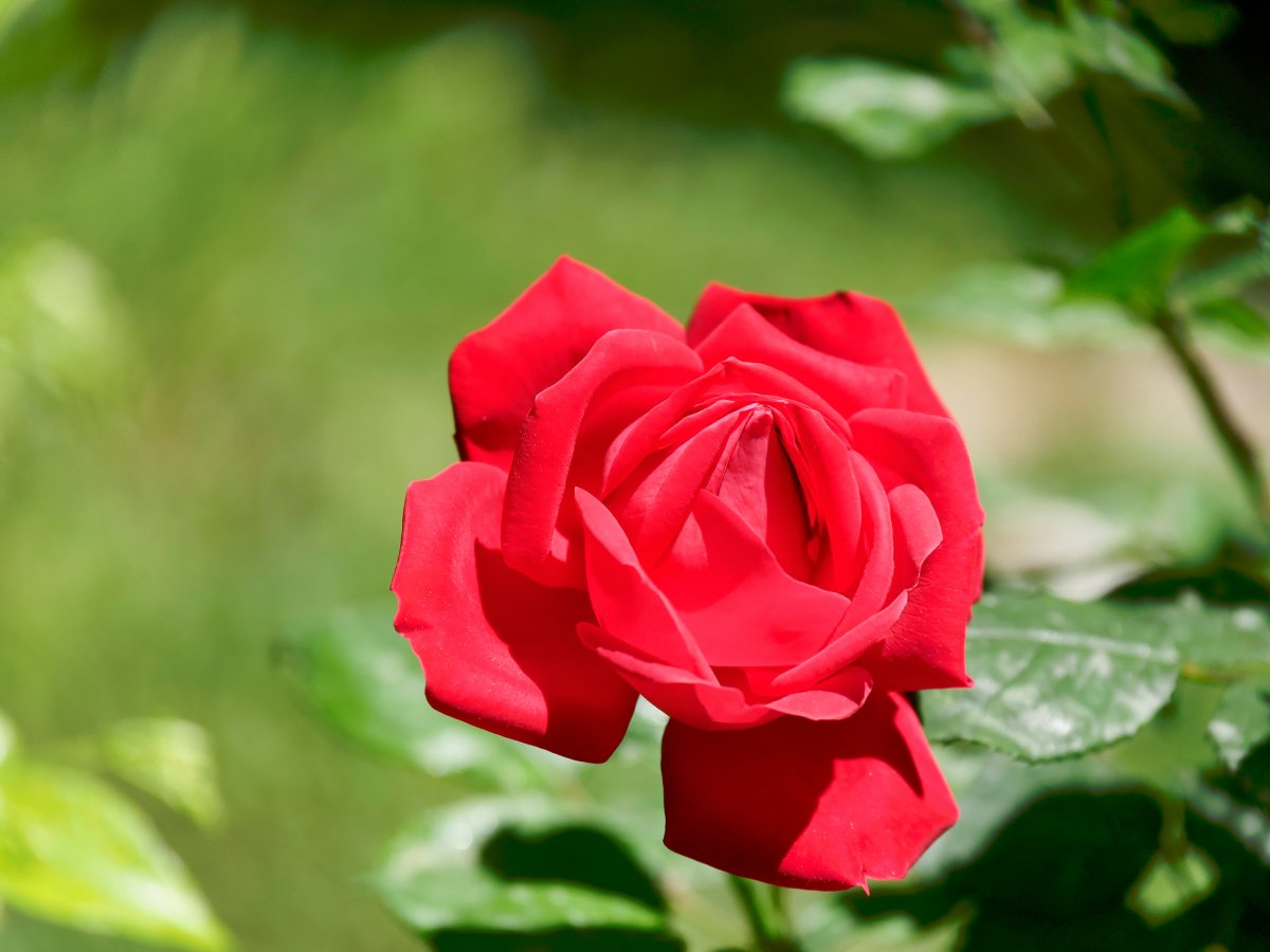 _1053909_DxO copy.jpg