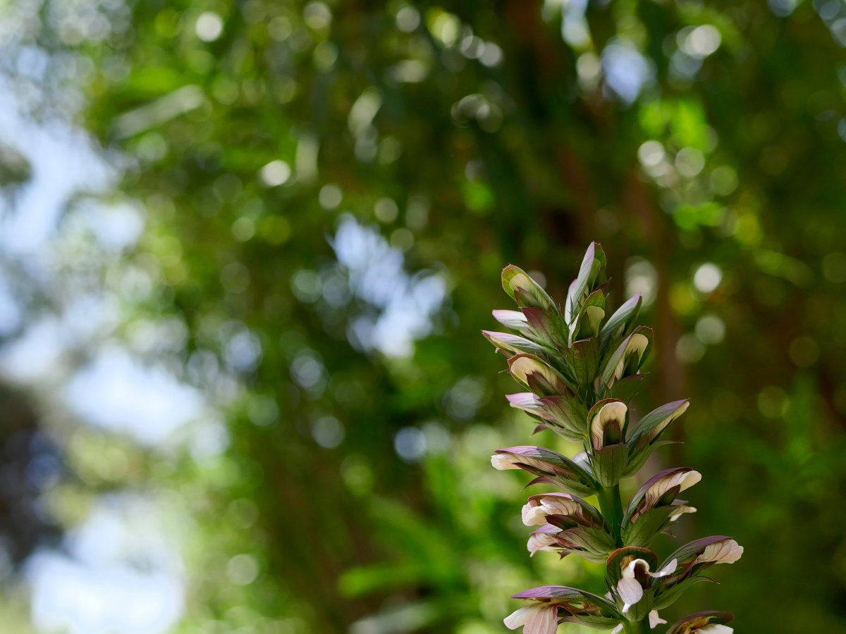 _1053954_DxO copy.jpg