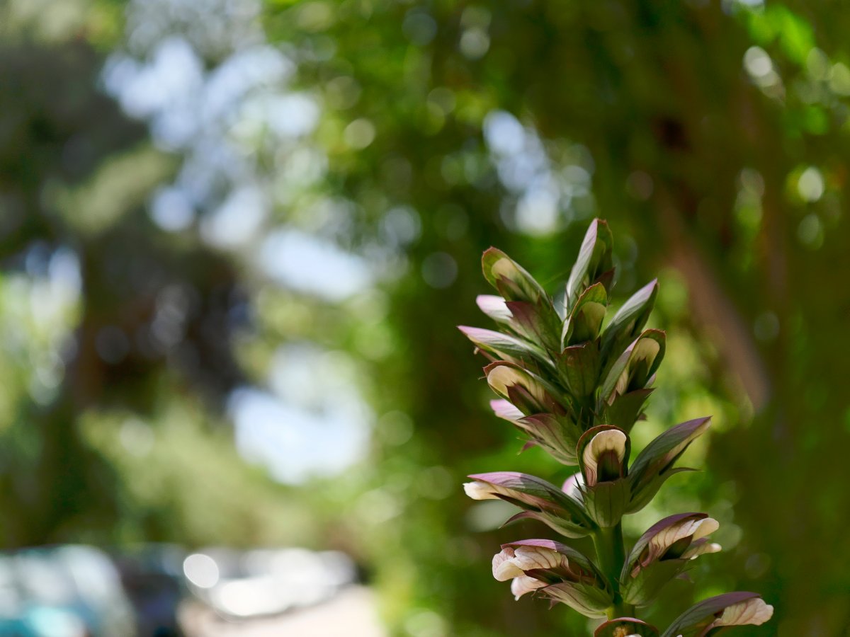 _1053943_DxO copy.jpg