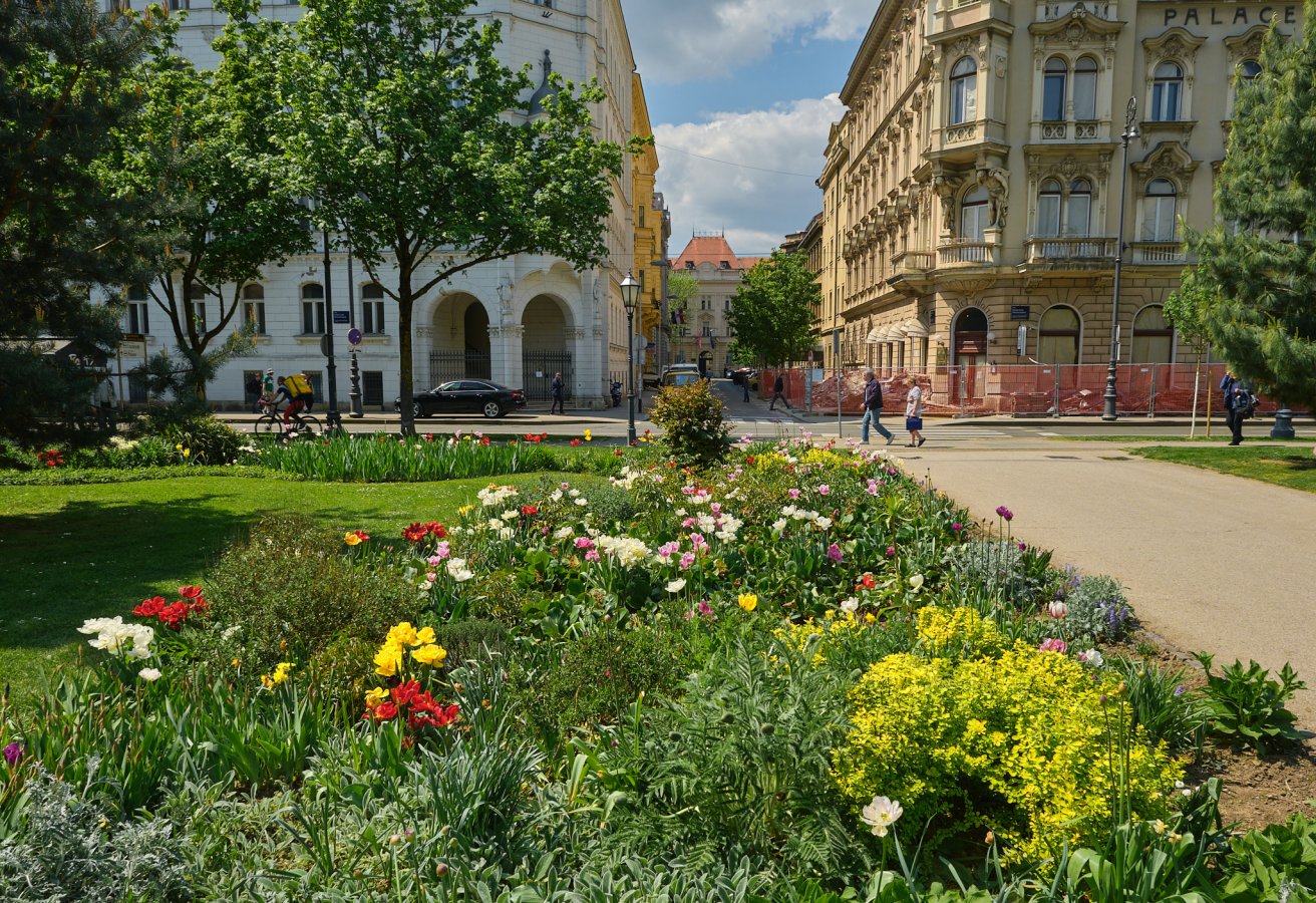 _DSF0813.jpg