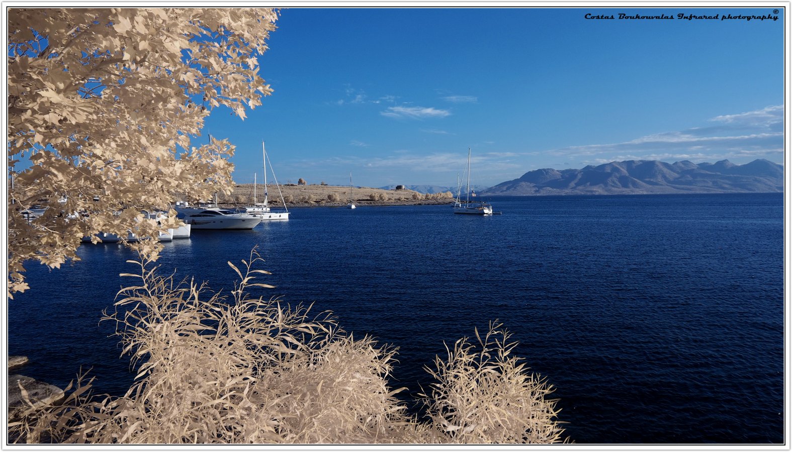 _6120707 WB C4+ BW KB20 final.JPG