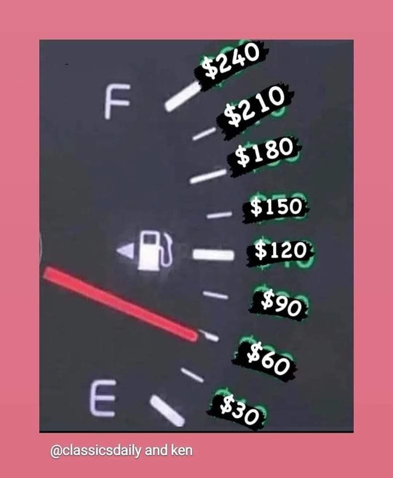 287374853_3167385470201639_4336638294404950268_n.jpg