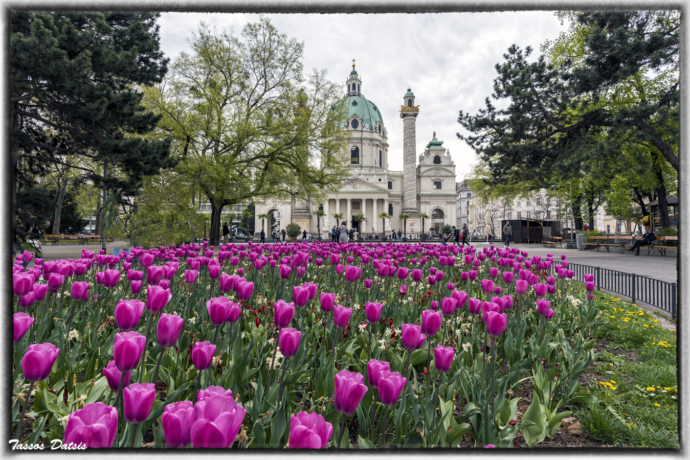 _DSC2941a.png