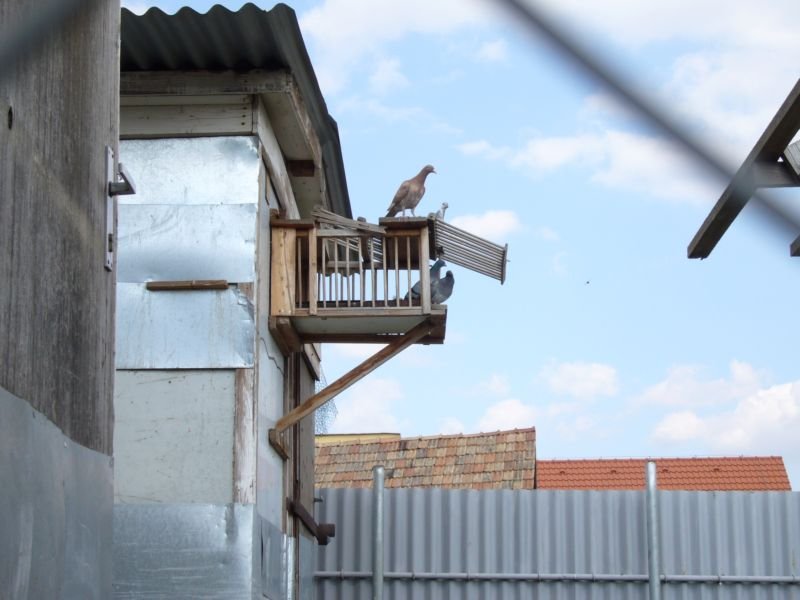 Γβ’ΓΒΉΓΒΊΓΕΓΒ½ΓΒ± 032a.jpg