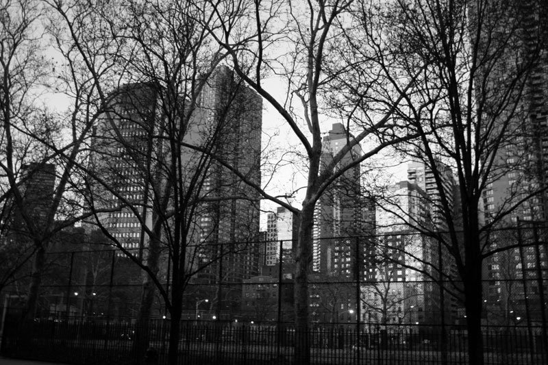 nyc_park_small.jpg