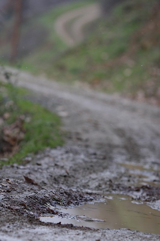 Road_0923_web.jpg Road_0923_web.jpg