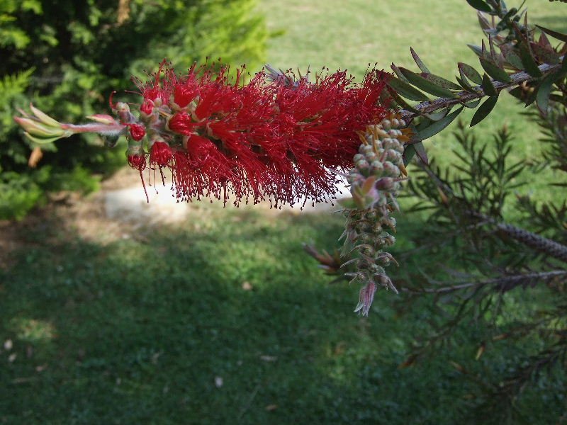 2008_05180045.JPG