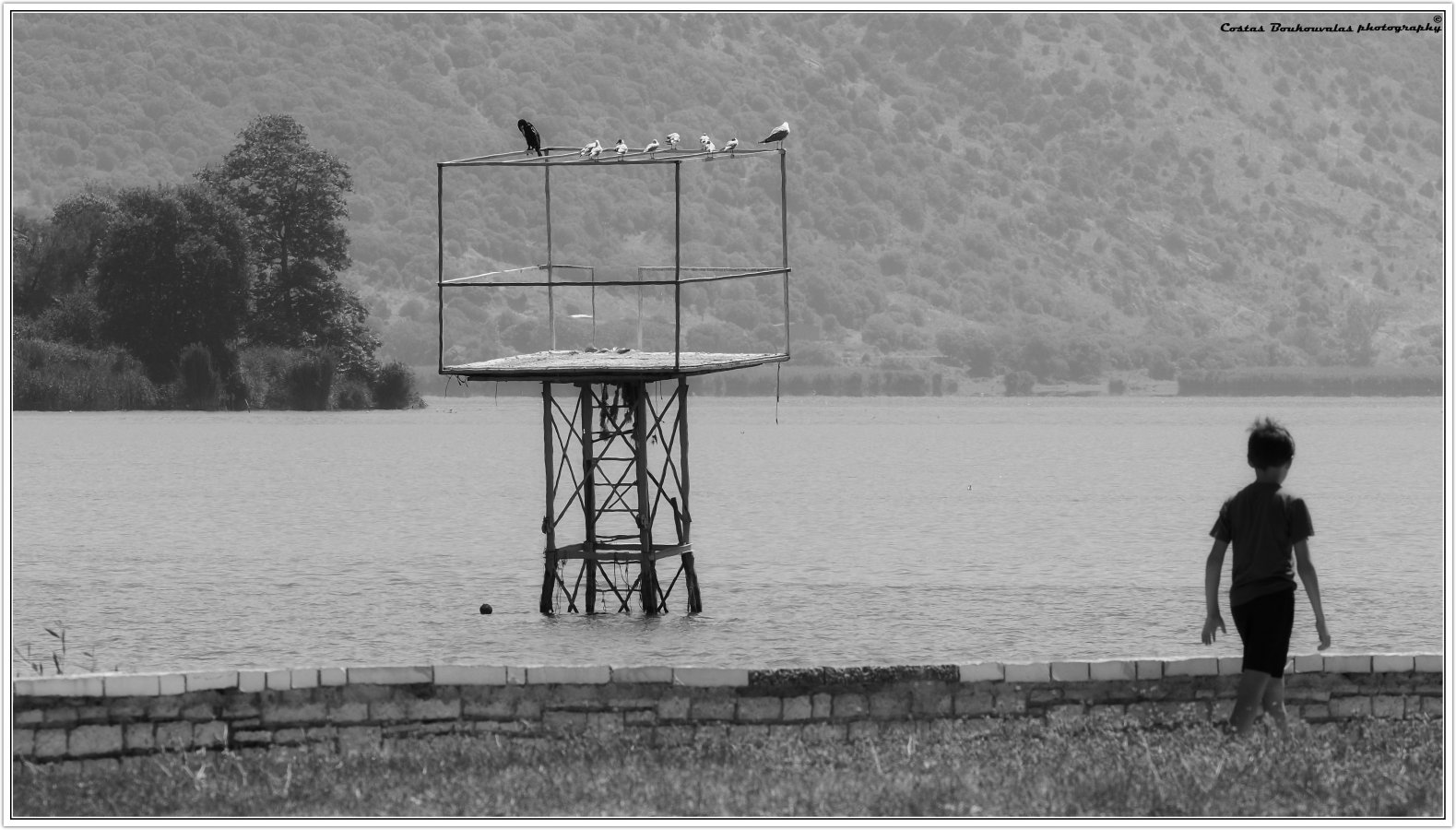 _7160209.JPG _7160209.JPG