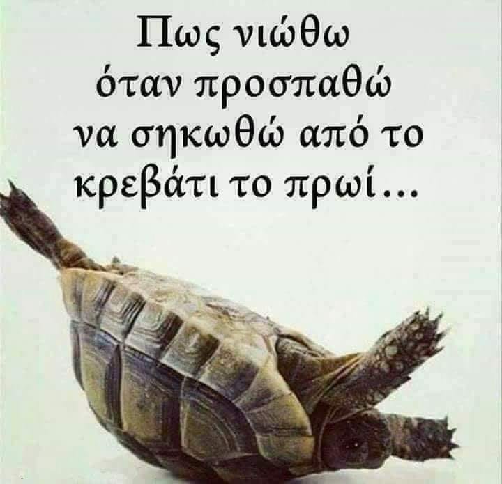 290357091_758801465263590_6364273961063127111_n.jpg