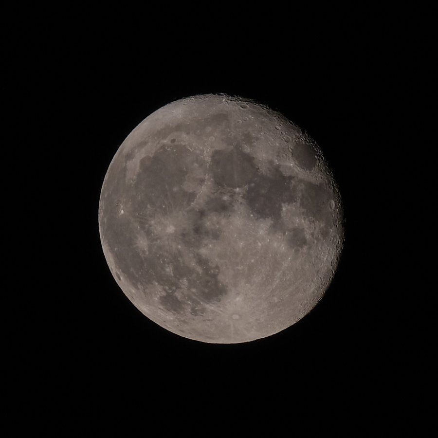DSCF2479.jpg