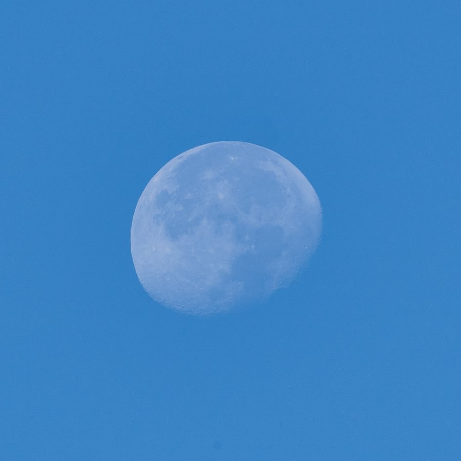DSCF2624.jpg