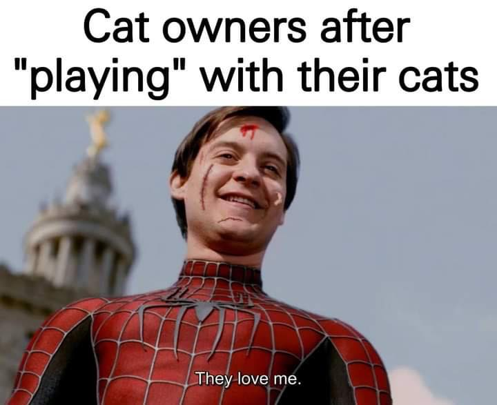 cats.png