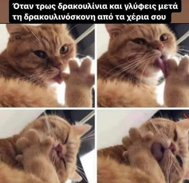 1660980916601.png