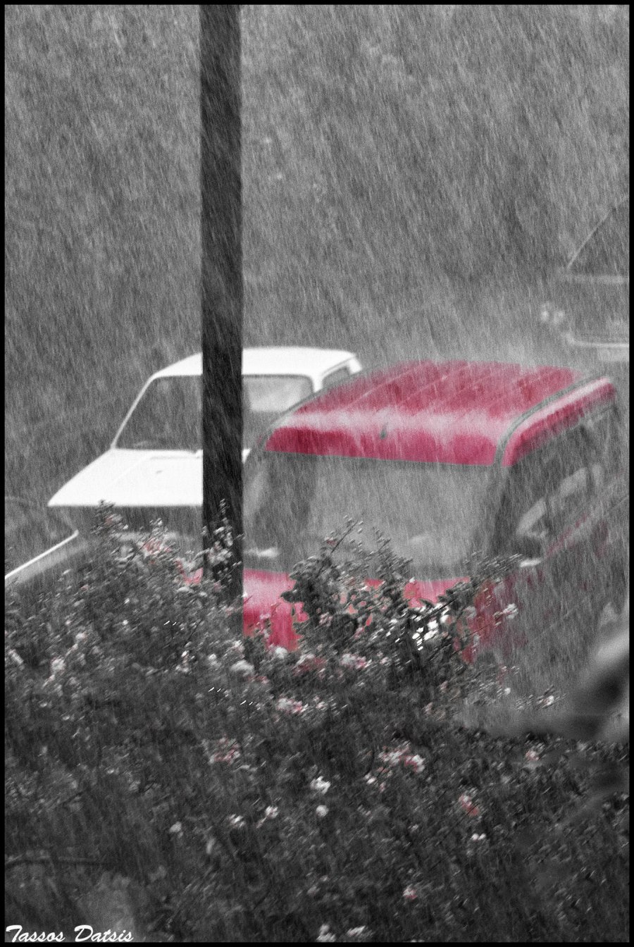 _DSC8008a.jpg _DSC8008a.jpg