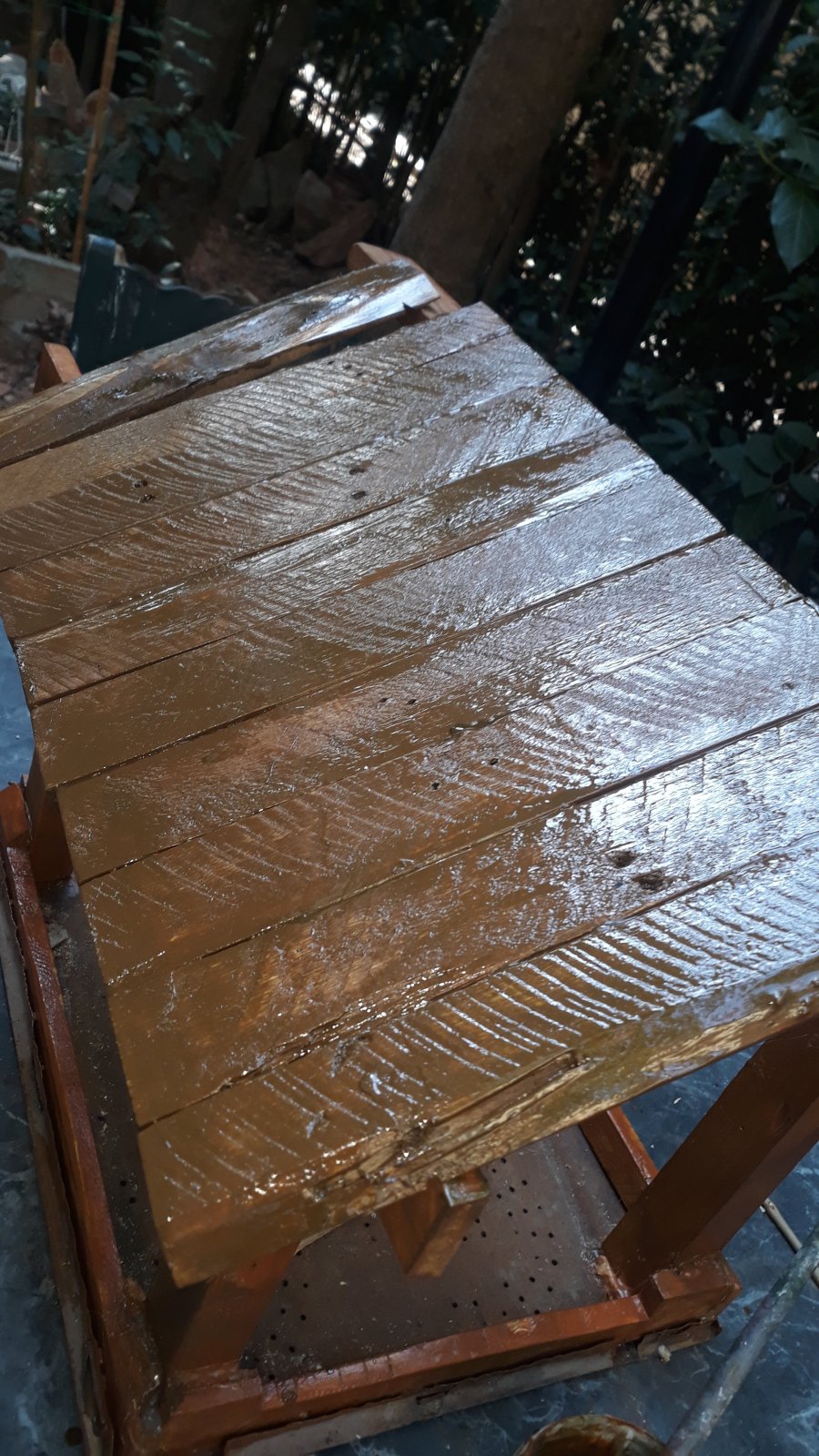 20221011_135913.jpg 20221011_135913.jpg